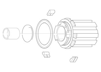 campagnolo Corpo Ruota Libera FH-BU015